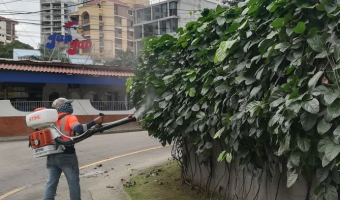 servicio fumigacion plantas con plaga